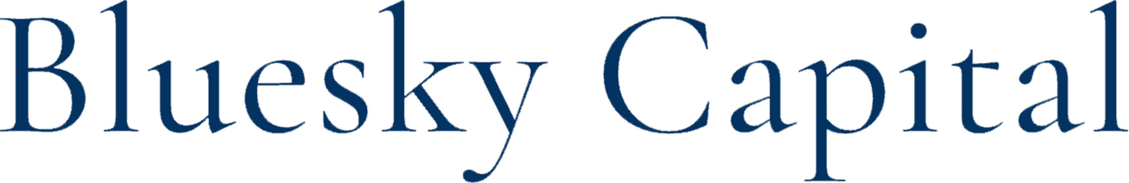 Bluesky Capital Management | Lead investor