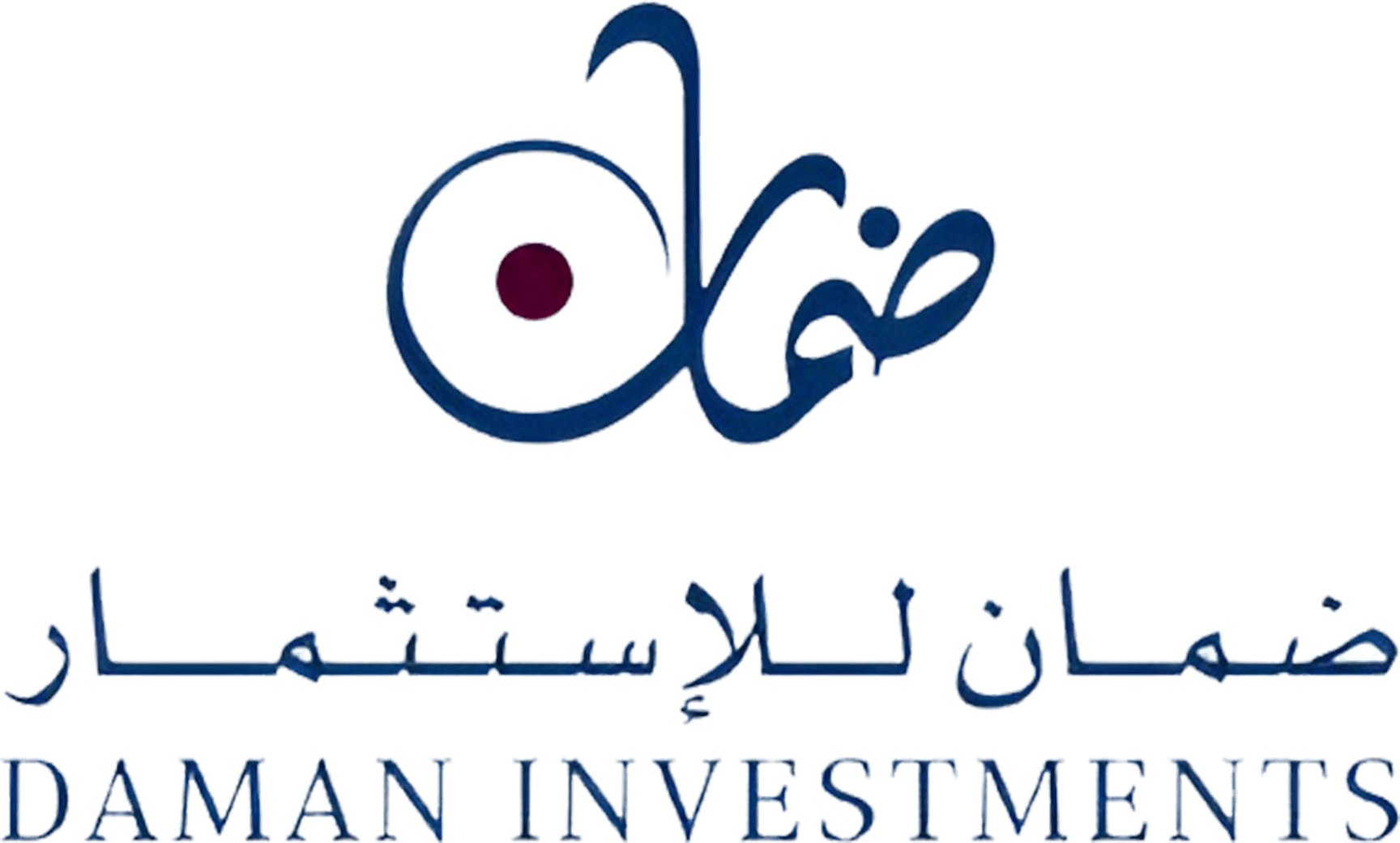 Daman Investments | Lead investor