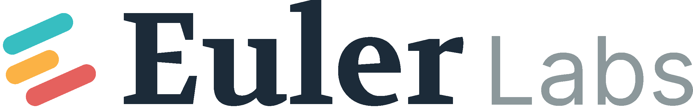 Euler Labs | Lead investor