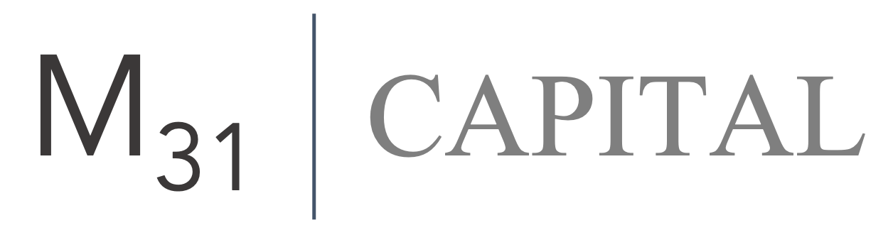 M31 Capital | Lead investor