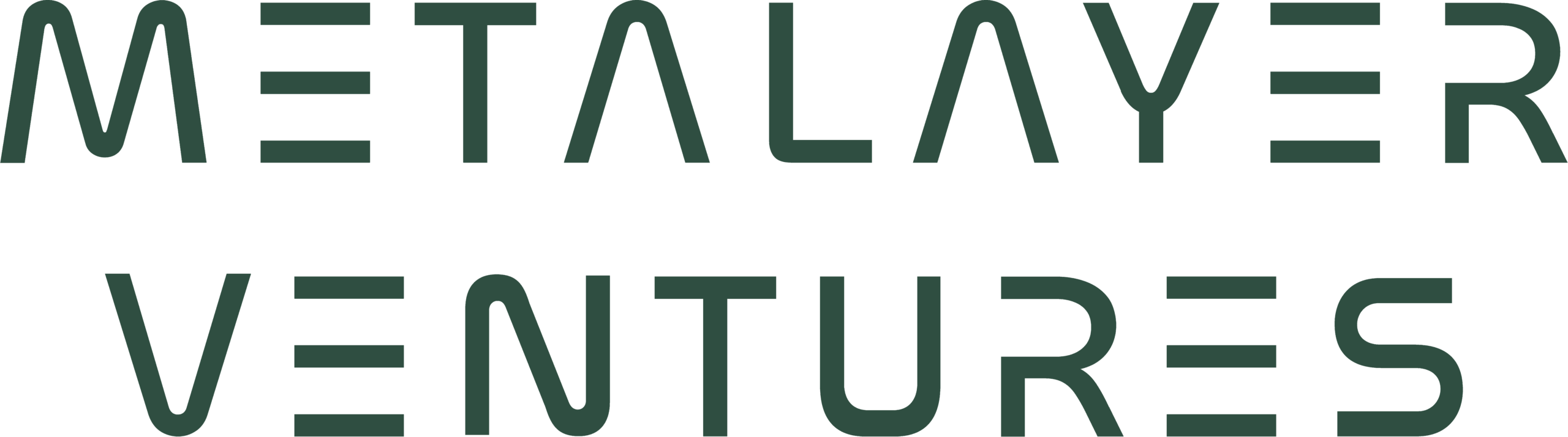 Metalayer Ventures