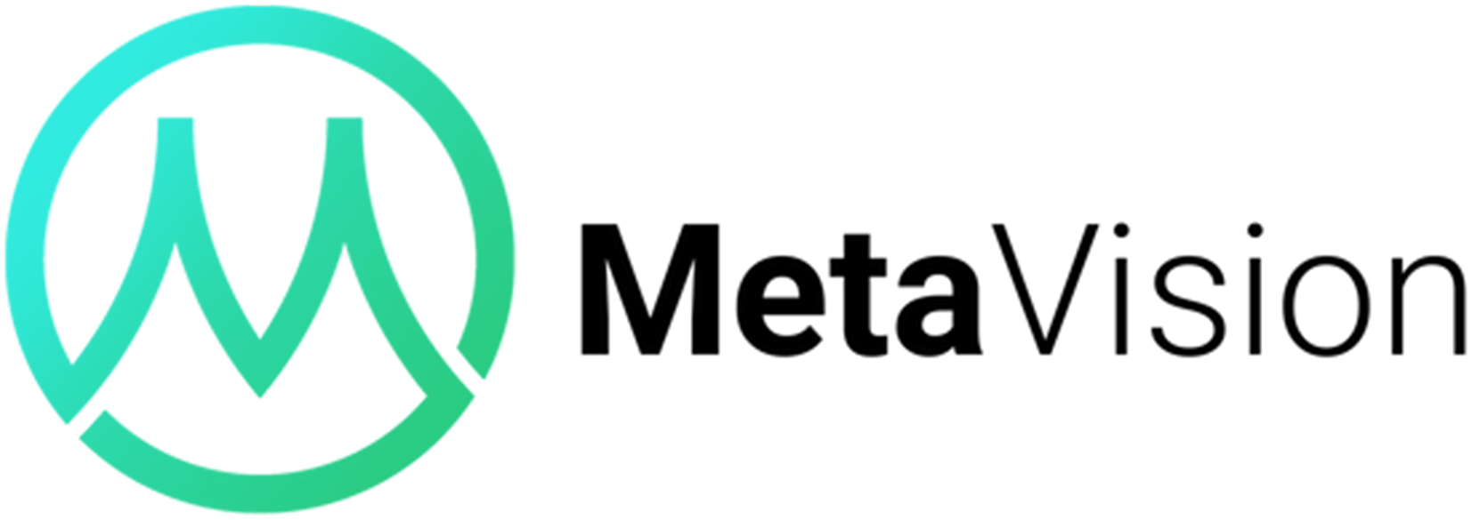 Metavision