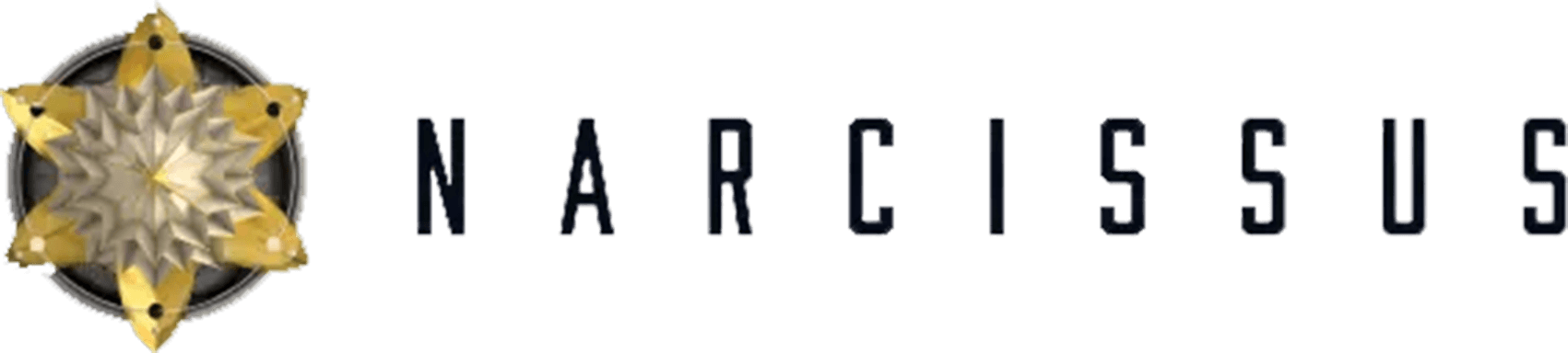 Narcissus Ventures