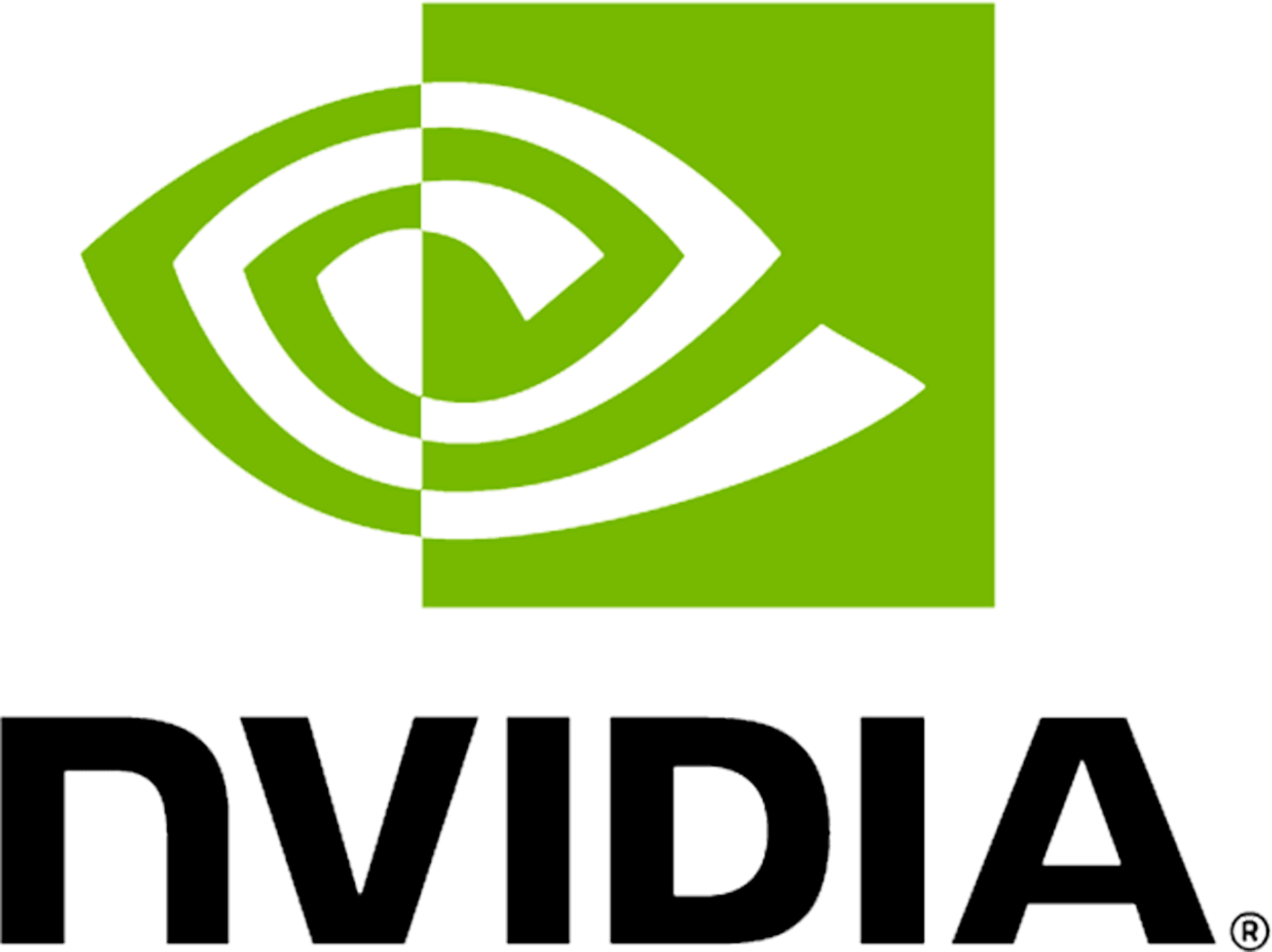 Nvidia | Lead investor