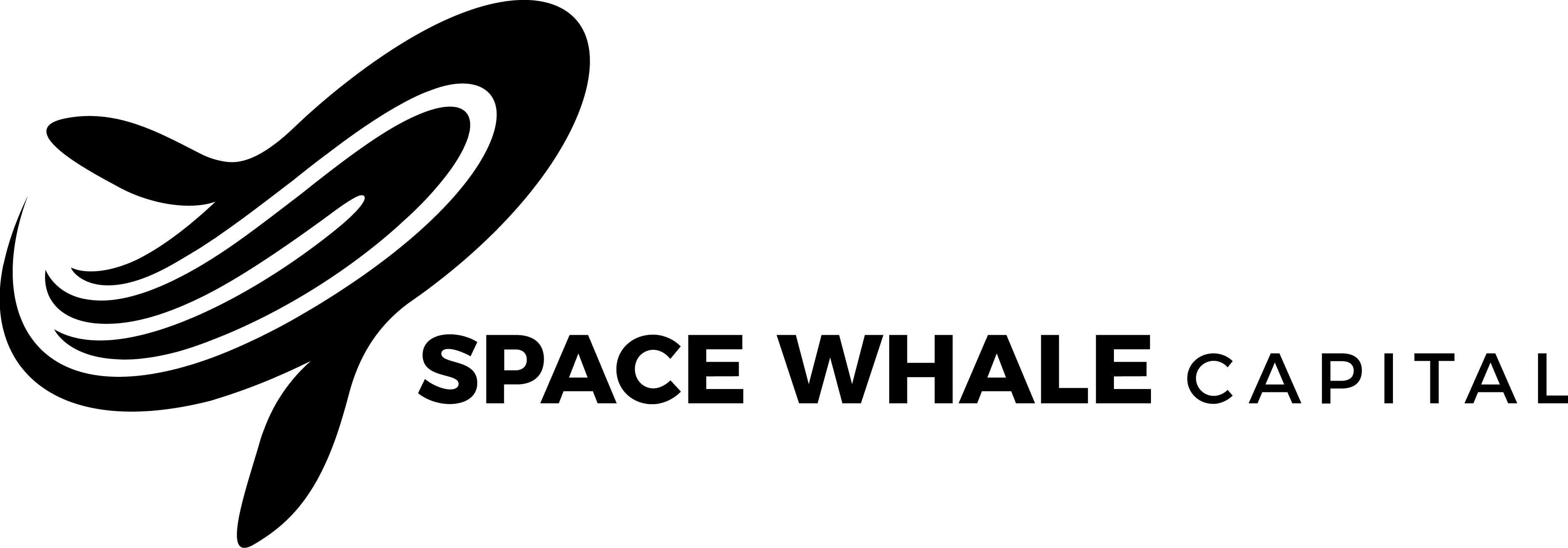 Space Whale Capital