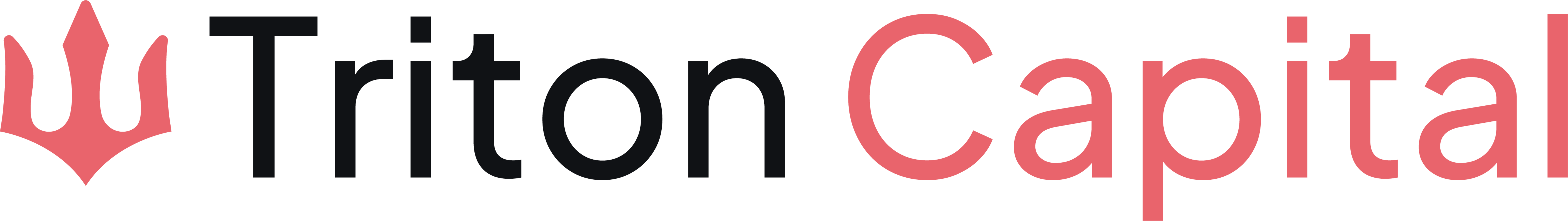 Triton Capital | Lead investor