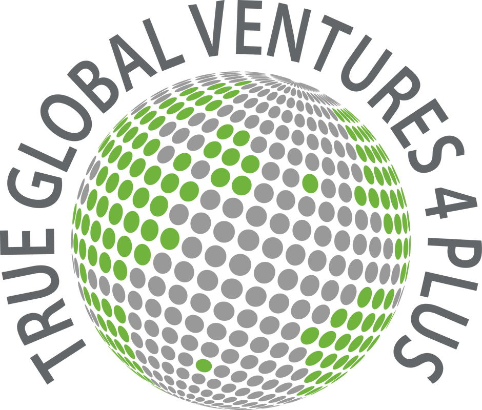 True Global Ventures | Lead investor True Global Ventures | Lead investor